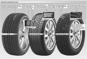 Особенности зимней и летней резины